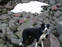 Snow tends to linger around here, and this is the final patch of snow on Cross Fell on 2nd May 2009.